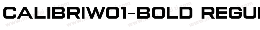 CalibriW01-Bold Regular字体转换